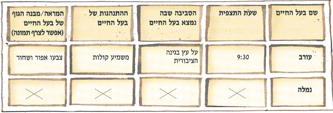 (בספר תמונה, היעזר במנחה)